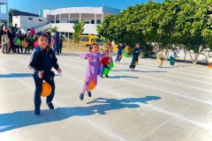 WhatsApp-Image-2024-12-23-at-18.25.04_b2413715